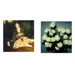 nobuyoshi-araki-pola-eros-diptych.jpg