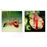 nobuyoshi-araki-pola-eros-diptych-2006-2.jpg