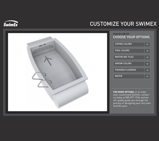 Boston Interactive Flash Design SwimEx