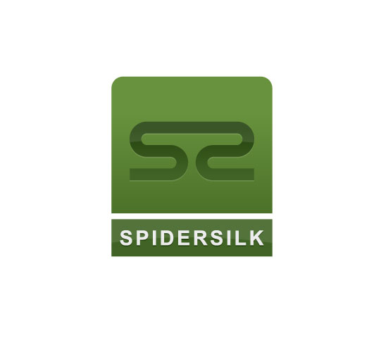 Boston Logo Design SpiderSilk