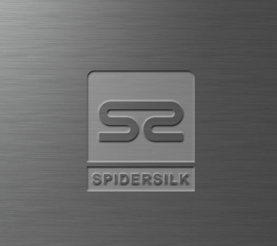 Boston Logo Design SpiderSilk