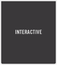 Interactive Design and Development, Flash Design